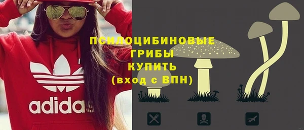стаф Белая Холуница