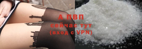 твердый Няндома