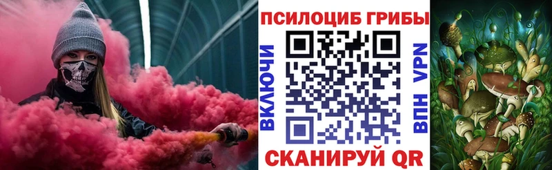 закладка  Отрадное  Псилоцибиновые грибы Psilocybine cubensis 